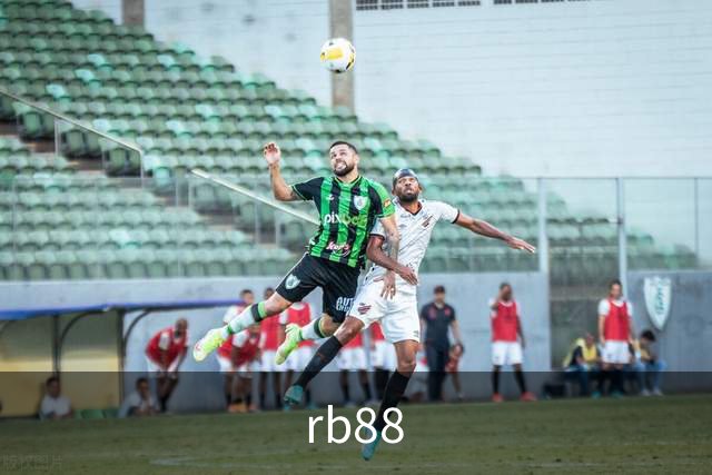 关于rb88